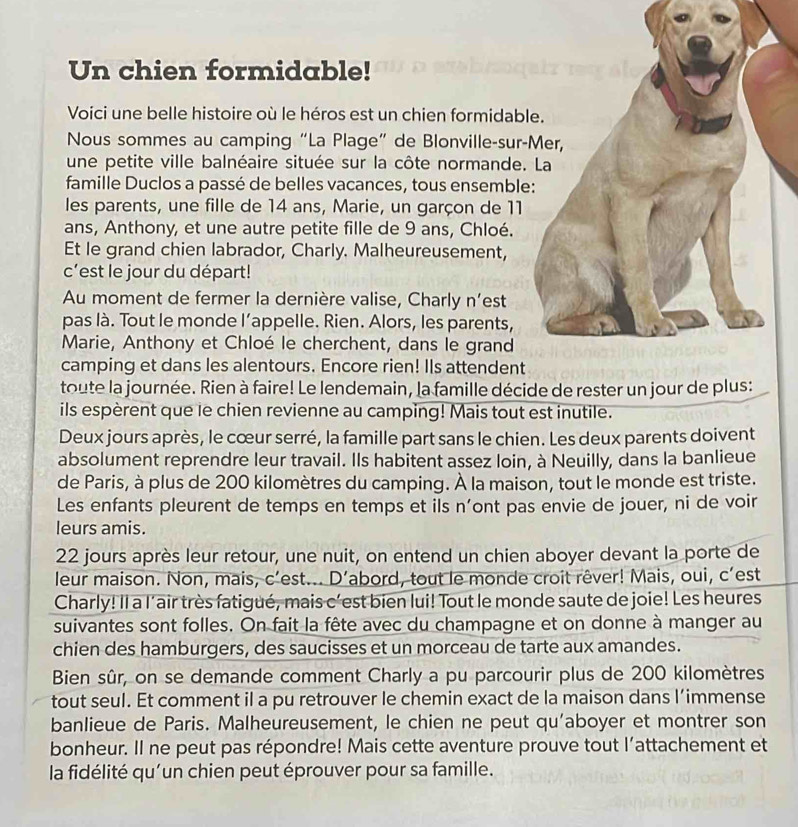 Un chien formidable!
Voici une belle histoire où le héros est un chien formidab
Nous sommes au camping “La Plage” de Blonville-sur-
une petite ville balnéaire située sur la côte normande.
famille Duclos a passé de belles vacances, tous ensemble
les parents, une fille de 14 ans, Marie, un garçon de 11
ans, Anthony, et une autre petite fille de 9 ans, Chloé.
Et le grand chien labrador, Charly. Malheureusement,
c’est le jour du départ!
Au moment de fermer la dernière valise, Charly n’est
pas là. Tout le monde l’appelle. Rien. Alors, les parents,
Marie, Anthony et Chloé le cherchent, dans le grand
camping et dans les alentours. Encore rien! Ils attendent
toute la journée. Rien à faire! Le lendemain, la famille décide de rester un jour de plus:
ils espèrent que le chien revienne au camping! Mais tout est inutile.
Deux jours après, le cœur serré, la famille part sans le chien. Les deux parents doivent
absolument reprendre leur travail. Ils habitent assez loin, à Neuilly, dans la banlieue
de Paris, à plus de 200 kilomètres du camping. À la maison, tout le monde est triste.
Les enfants pleurent de temps en temps et ils n’ont pas envie de jouer, ni de voir
leurs amis.
22 jours après leur retour, une nuit, on entend un chien aboyer devant la porte de
leur maison. Non, mais, c’est... D’abord, tout le monde croit rêver! Mais, oui, c’est
Charly! Il a l'air très fatigué, mais c'est bien lui! Tout le monde saute de joie! Les heures
suivantes sont folles. On fait la fête avec du champagne et on donne à manger au
chien des hamburgers, des saucisses et un morceau de tarte aux amandes.
Bien sûr, on se demande comment Charly a pu parcourir plus de 200 kilomètres
tout seul. Et comment il a pu retrouver le chemin exact de la maison dans l’immense
banlieue de Paris. Malheureusement, le chien ne peut qu'aboyer et montrer son
bonheur. Il ne peut pas répondre! Mais cette aventure prouve tout l’attachement et
la fidélité qu'un chien peut éprouver pour sa famille.