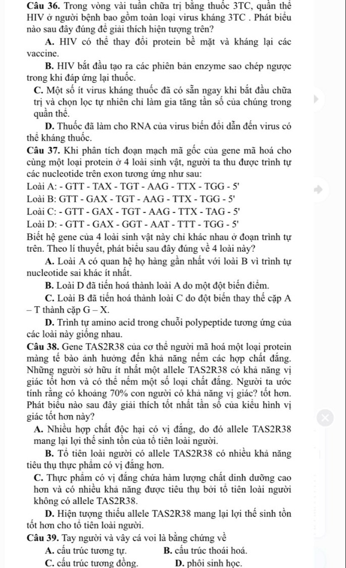 Trong vòng vài tuần chữa trị bằng thuốc 3TC, quần thể
HIV ở người bệnh bao gồm toàn loại virus kháng 3TC . Phát biểu
nào sau đây đúng đề giải thích hiện tượng trên?
A. HIV có thể thay đồi protein bề mặt và kháng lại các
vaccine.
B. HIV bắt đầu tạo ra các phiên bản enzyme sao chép ngược
trong khi đáp ứng lại thuốc.
C. Một số ít virus kháng thuốc đã có sẵn ngay khi bắt đầu chữa
trị và chọn lọc tự nhiên chi làm gia tăng tần số của chúng trong
quần thể.
D. Thuốc đã làm cho RNA của virus biến đồi dẫn đến virus có
thể kháng thuốc.
Câu 37. Khi phân tích đoạn mạch mã gốc của gene mã hoá cho
cùng một loại protein ở 4 loài sinh vật, người ta thu được trình tự
các nucleotide trên exon tương ứng như sau:
Loài A: - GTT - TAX - TGT - AAG -TTX-TGG-5'
Loài B: GTT - GAX - TGT - AAG - TTX - T GG-5'
Loài C: - GTT - GAX - TGT - AAG - TTX - TAG -5'
Loài D: - GTT - GAX - GGT - AAT - TTT - TGG -5'
Biết hệ gene của 4 loài sinh vật này chỉ khác nhau ở đoạn trình tự
trên. Theo lí thuyết, phát biểu sau đây đúng về 4 loài này?
A. Loài A có quan hệ họ hàng gần nhất với loài B vì trình tự
nucleotide sai khác ít nhất.
B. Loài D đã tiến hoá thành loài A do một đột biến điểm.
C. Loài B đã tiến hoá thành loài C do đột biển thay thế cặp A
− T thành cặp G - X.
D. Trình tự amino acid trong chuỗi polypeptide tương ứng của
các loài này giống nhau.
Câu 38. Gene TAS2R38 của cơ thể người mã hoá một loại protein
màng tế bào ảnh hưởng đến khả năng nếm các hợp chất đắng.
Những người sở hữu ít nhất một allele TAS2R38 có khả năng vị
giác tốt hơn và có thể nếm một số loại chất đẳng. Người ta ước
tính rằng có khoảng 70% con người có khả năng vị giác? tốt hơn.
Phát biểu nào sau đây giải thích tốt nhất tần số của kiểu hình vị
giác tốt hơn này?
A. Nhiều hợp chất độc hại có vị đẳng, do đó allele TAS2R38
mang lại lợi thể sinh tồn của tổ tiên loài người.
B. Tổ tiên loài người có allele TAS2R38 có nhiều khả năng
tiêu thụ thực phẩm có vị đắng hơn.
C. Thực phẩm có vị đẳng chứa hàm lượng chất dinh dưỡng cao
hơn và có nhiều khả năng được tiêu thụ bởi tổ tiên loài người
không có allele TAS2R38.
D. Hiện tượng thiếu allele TAS2R38 mang lại lợi thế sinh tồn
tốt hơn cho tổ tiên loài người.
Câu 39. Tay người và vây cá voi là bằng chứng về
A. cấu trúc tương tự. B. cấu trúc thoái hoá.
C. cấu trúc tương đồng. D. phôi sinh học.