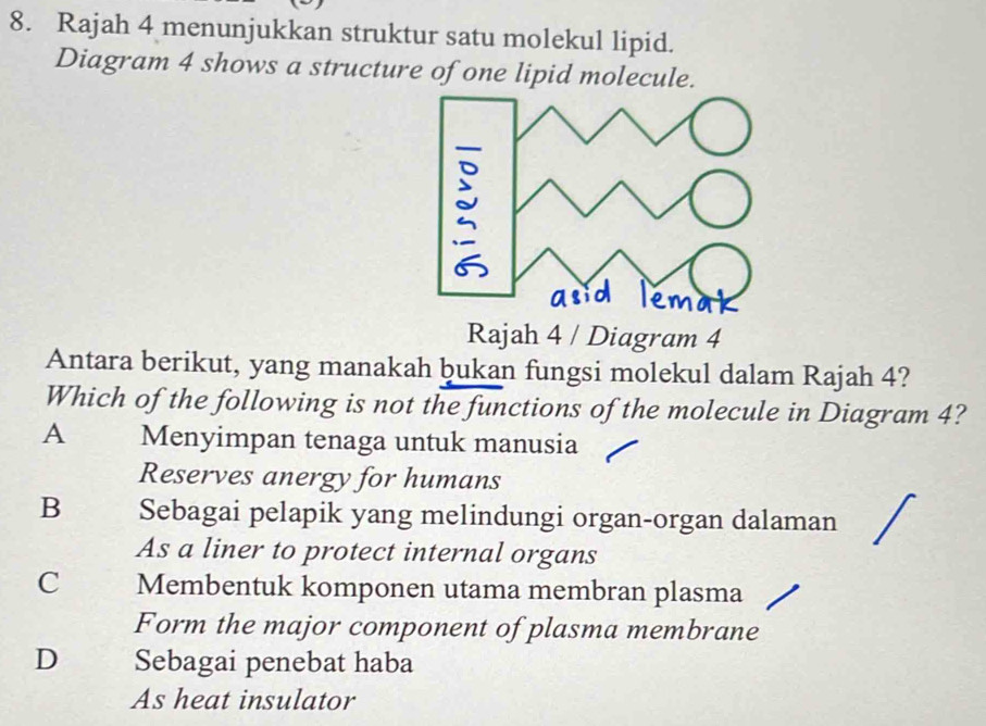 Rajah 4 menunjukkan struktur satu molekul lipid.
Diagram 4 shows a structure of one lipid molecule.
Rajah 4 / Diagram 4
Antara berikut, yang manakah bukan fungsi molekul dalam Rajah 4?
Which of the following is not the functions of the molecule in Diagram 4?
A Menyimpan tenaga untuk manusia
Reserves anergy for humans
B Sebagai pelapik yang melindungi organ-organ dalaman
As a liner to protect internal organs
C Membentuk komponen utama membran plasma
Form the major component of plasma membrane
D Sebagai penebat haba
As heat insulator