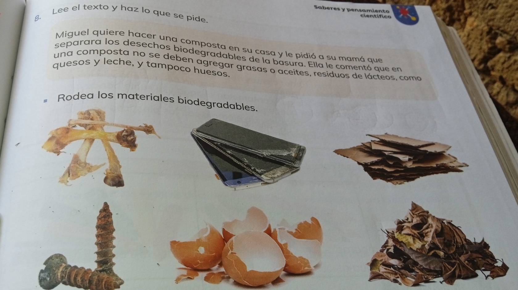 Saberes y pensamiento 
8. Lee el texto y haz lo que se pide. 
científico 
Miguel quiere hacer una composta en su casa y le pidió a su mamá que 
separara los desechos biodegradables de la basura. Ella le comentó que en 
una composta no se deben agregar grasas o aceites, residuos de lácteos, como 
quesos y leche, y tampoco huesos. 
Rodea los materiales biodegradables.