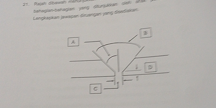 Rajah dibawah menuhju 
bahagian-bahagian yang ditunjukkan dieh anak 
Lengkapkan jawapan dirangan yang disediakan 
B 
A 

C