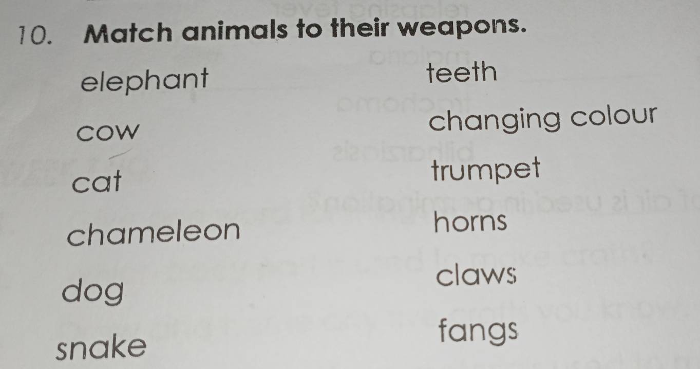 Match animals to their weapons.
elephant teeth
cow changing colour
cat trumpet
chameleon
horns
dog
claws
snake
fangs