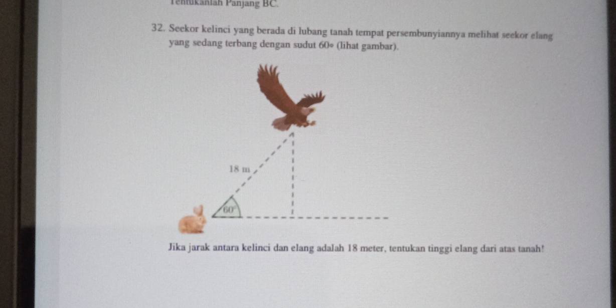 Tenfükänlah Panjang BC. 
32. Seekor kelinci yang berada di lubang tanah tempat persembunyiannya melihat seekor elang 
yang sedang terbang dengan sudut 60° (lihat gambar).
18 m
60°
Jika jarak antara kelinci dan elang adalah 18 meter, tentukan tinggi elang dari atas tanah!