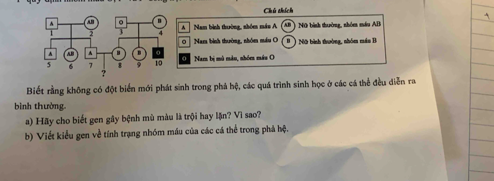 Chú thích 
A 
Nam bình thường, nhóm máu A (AB ) Nữ bình thường, nhóm máu AB
0 Nam bình thường, nhóm máu O B Nữ bình thường, nhóm máu B 
O Nam bị mù màu, nhóm máu O 
Biết rằng không có đột biến mới phát sinh trong phả hệ, các quá trình sinh học ở các cá thể đều diễn ra 
bình thường. 
a) Hãy cho biết gen gây bệnh mù màu là trội hay lặn? Vì sao? 
b) Viết kiểu gen về tính trạng nhóm máu của các cá thể trong phả hệ.