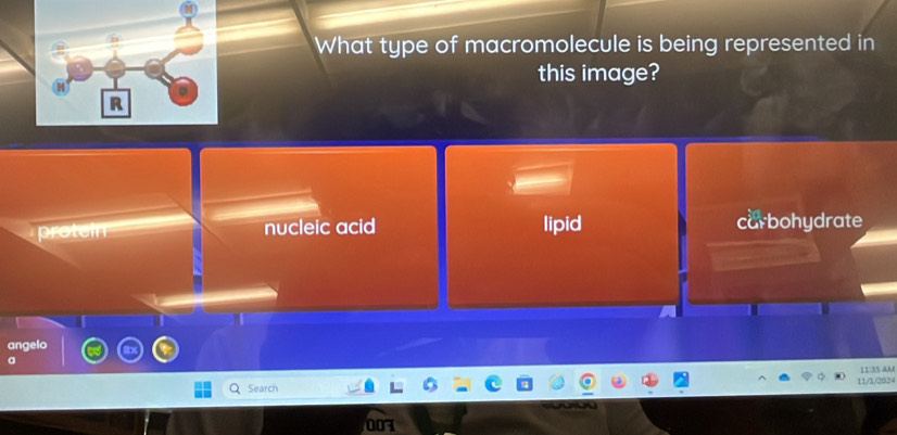 What type of macromolecule is being represented in
this image?
protein nucleic acid lipid carbohydrate
angelo
a
Search 11/1/2024 11:35 AM
003