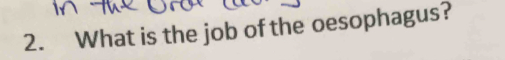 What is the job of the oesophagus?