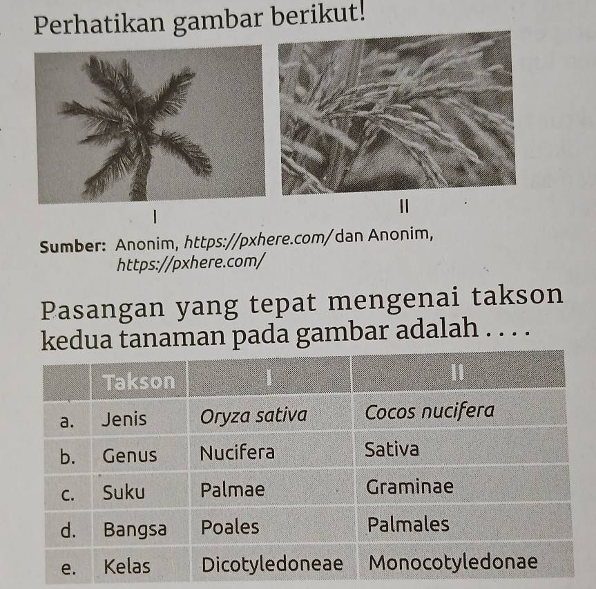 Perhatikan gambar berikut! 
11 
Sumber: Anonim, https://pxhere.com/dan Anonim, 
https://pxhere.com/ 
Pasangan yang tepat mengenai takson 
kedua tanaman pada gambar adalah . . . .