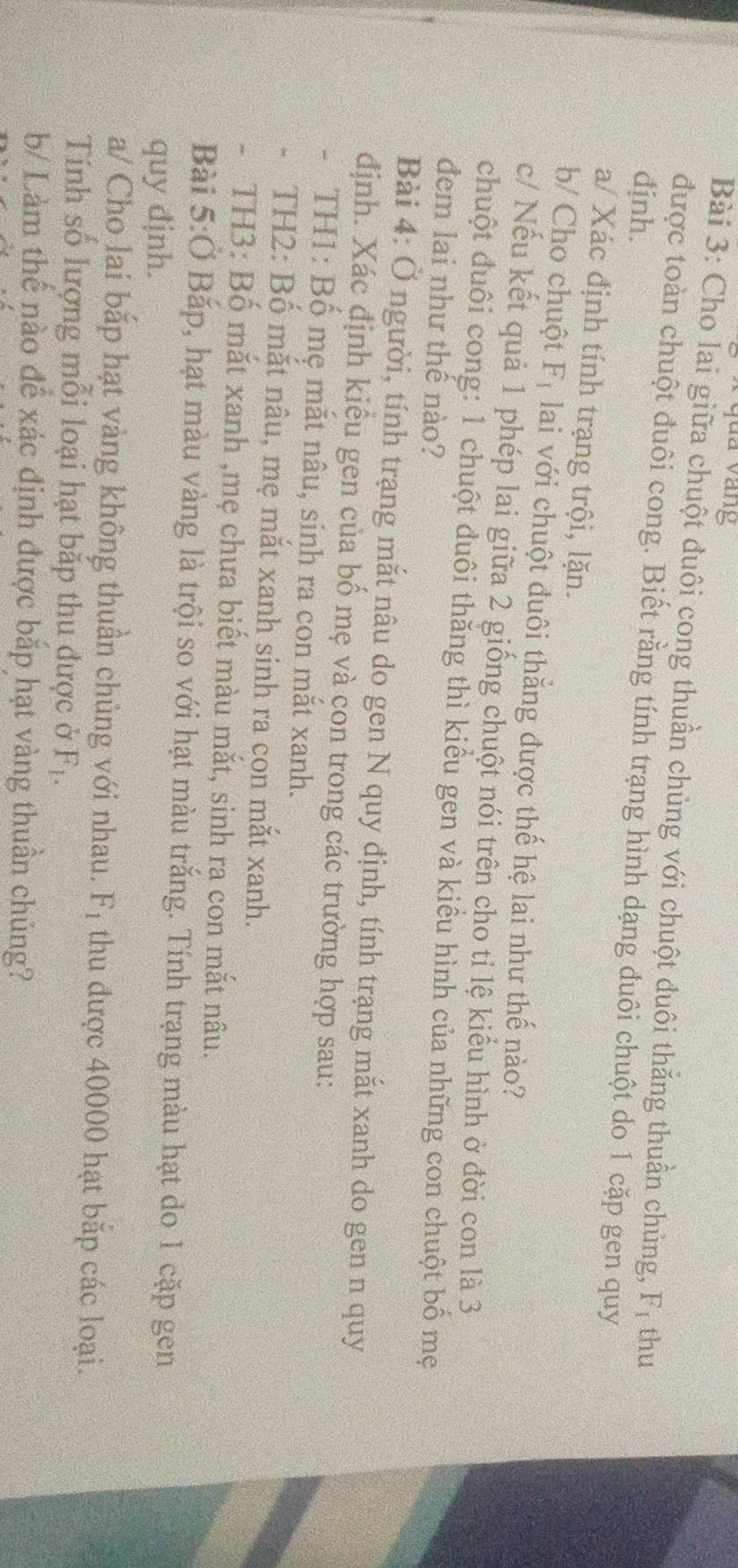 qua vàng 
Bài 3: Cho lai giữa chuột đuôi cong thuần chủng với chuột đuôi thẳng thuần chủng, 
đjnh. F_1 thu 
được toàn chuột đuôi cong. Biết rằng tính trạng hình dạng đuôi chuột do 1 cặp gen quy 
a/ Xác định tính trạng trội, lặn. 
b/ Cho chuột F_1 lai với chuột đuôi thẳng được thế hệ lai như thế nào? 
c/ Nếu kết quả 1 phép lai giữa 2 giống chuột nói trên cho tỉ lệ kiểu hình ở đời con là 3
chuột đuôi cong: 1 chuột duôi thăng thì kiểu gen và kiểu hình của những con chuột bố mẹ 
đem lai như thể nào? 
Bài 4: Ở người, tính trạng mắt nâu do gen N quy định, tính trạng mắt xanh do gen n quy 
định. Xác định kiểu gen của bố mẹ và con trong các trường hợp sau: 
- TH1: Bố mẹ mắt nâu, sinh ra con mắt xanh. 
TH2: Bố mắt nâu, mẹ mắt xanh sinh ra con mắt xanh. 
- TH3: Bố mắt xanh ,mẹ chưa biết màu mắt, sinh ra con mắt nâu. 
Bài 5:0 Bắp, hạt màu vàng là trội so với hạt màu trắng. Tính trạng màu hạt do 1 cặp gen 
quy định. 
a/ Cho lai bắp hạt vàng không thuần chủng với nhau. F_1 thu được 40000 hạt bắp các loại. 
Tính số lượng mỗi loại hạt bắp thu được ở F_1. 
b/ Làm thế nào để xác định được bắp hạt vàng thuần chủng?