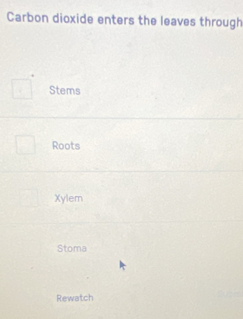 Carbon dioxide enters the leaves through
Stems
Roots
Xylem
Stoma
Rewatch