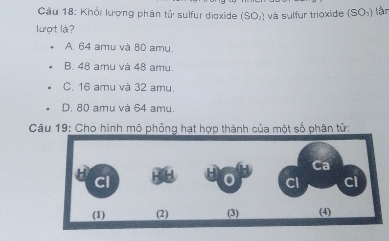 Khối lượng phân tử sulfur dioxide (SO_2) và sulfur trioxide (SO_3) lần
lượt là?
A. 64 amu và 80 amu.
B. 48 amu và 48 amu.
C. 16 amu và 32 amu.
D. 80 amu và 64 amu.
Câu 19: Cho hình mô phỏng hạt hợp thành của một số phân tử: