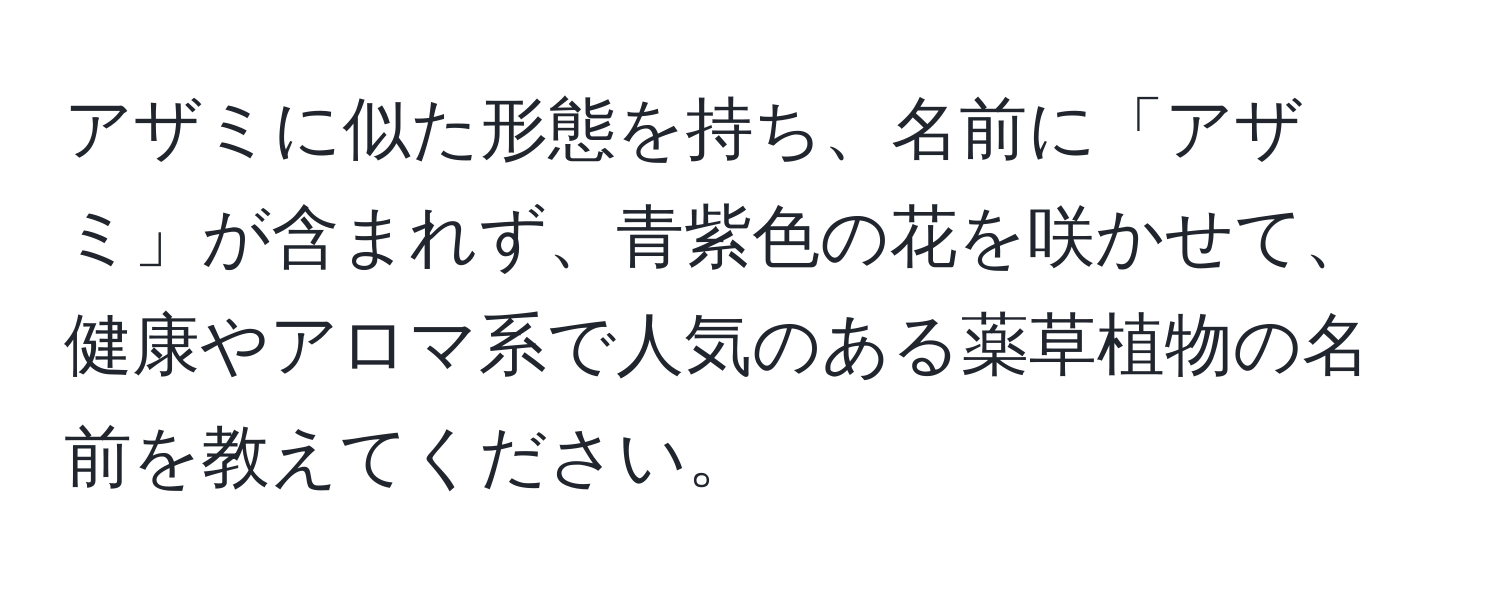 アザミに似た形態を持ち、名前に「アザミ」が含まれず、青紫色の花を咲かせて、健康やアロマ系で人気のある薬草植物の名前を教えてください。