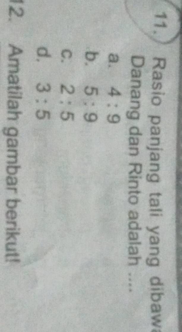 Rasio panjang tali yang dibaw
Danang dan Rinto adalah ....
a. 4:9
b. 5:9
C. 2:5
d. 3:5
12. Amatilah gambar berikut!