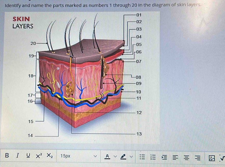 Solved: Identify and name the parts marked as numbers 1 through 20 in ...