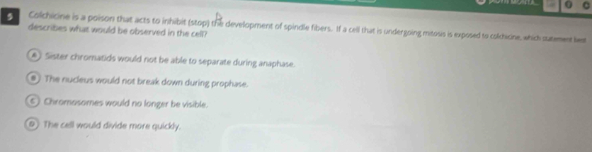 0 6
Colchicine is a poison that acts to inhibit (stop) the development of spindle fibers. If a cell that is undergoing mitosis is exposed to colchicine, which satement best
describes what would be observed in the cell?
#) Sister chromatids would not be able to separate during anaphase.
#) The nucleus would not break down during prophase.
⑤ Chromosomes would no longer be visible.
@) The cell would divide more quickly.