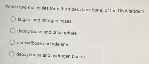 Which two molecules form the sides (backbone) of the DNA ladder?
sugars and nitrogen bases
deoxyribose and phosophate
deoxyribose and adenine
deoxyribose and hydrogen bonds