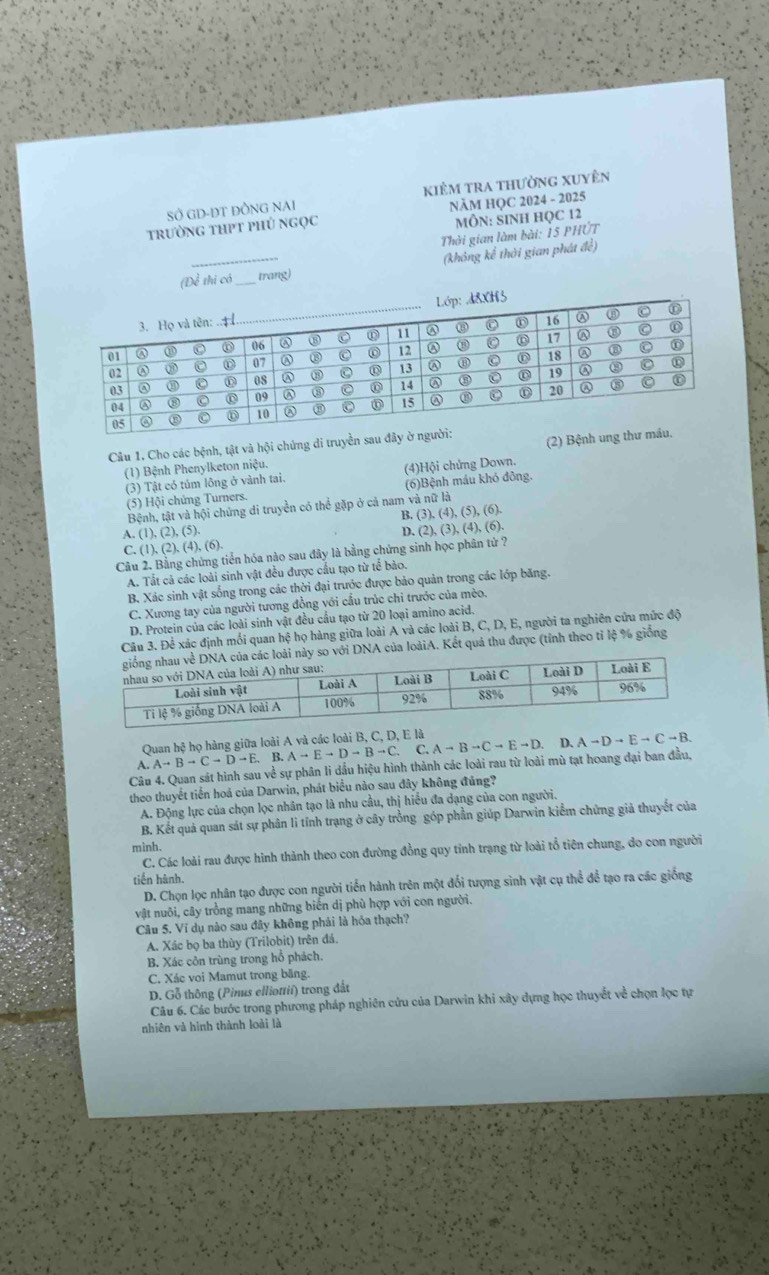 SỞ GD-ĐT ĐỒNG NAI kiêm tra thường xuyên
trường thPt phủ ngọc NÃM HQC 2024 - 2025
MÔN: SINH HQC 12
_
Thời gian làm bài: 15 PHUT
(không kể thời gian phát đề)
(Đề thi có _trang)
Câu 1. Cho các bệnh, tật và hội chứng di truyền sau đâ (2) Bệnh un
(1) Bệnh Phenylketon niệu.
(3) Tật có túm lông ở vành tai, (4)Hội chứng Down.
(5) Hội chứng Turners. (6)Bệnh máu khó đông.
Bệnh, tật và hội chứng di truyền có thể gặp ở cả nam và nữ là
B. (3),(4),(5),(6),
A. (1),(2),(5). D. (2),(3),(4),(6).
C. (1 ),(2),(4),(6).
Câu 2. Bằng chứng tiền hóa nào sau đây là bằng chứng sinh học phân tử ?
A. Tất cả các loài sinh vật đều được cấu tạo từ tể bào.
B. Xác sinh vật sống trong các thời đại trước được bảo quản trong các lớp băng.
C. Xương tay của người tương đồng với cấu trúc chi trước của mèo.
D. Protein của các loài sinh vật đều cầu tạo từ 20 loại amino acid.
Câu 3. Để xác định mối quan hệ họ hàng giữa loài A và các loài B, C, D, E, người ta nghiên cứu mức độ
i DNA của loàiA. Kết quả thu được (tỉnh theo tỉ lệ % giống
Quan hệ họ hàng giữa loài A và các loài B, C, D, E là
A. Ato Bto Cto Dto E. B. Ato Eto Dto Bto C. C. Ato Bto Cto Eto D D. Ato Dto Eto Cto B.
Câu 4. Quan sát hình sau về sự phân li dầu hiệu hình thành các loài rau từ loài mù tạt hoang đại ban đầu,
theo thuyết tiền hoá của Darwin, phát biểu nào sau đây không đủng?
A. Động lực của chọn lọc nhân tạo là nhu cầu, thị hiểu đa dạng của con người.
B. Kết quả quan sát sự phân li tỉnh trạng ở cây trồng góp phần giúp Darwin kiểm chứng giả thuyết của
mình.
C. Các loài rau được hình thành theo con đường đồng quy tỉnh trạng từ loài tổ tiên chung, do con người
tiến hành.
D. Chọn lọc nhân tạo được con người tiền hành trên một đối tượng sinh vật cụ thể để tạo ra các giống
vật nuôi, cây trồng mang những biến dị phù hợp với con người.
Câu 5. Ví dụ nào sau đây không phải là hóa thạch?
A. Xác bọ ba thùy (Trilobit) trên đá.
B. Xác côn trùng trong hổ phách.
C. Xác voi Mamut trong băng.
D. Gỗ thông (Pinus elliottii) trong đất
Câu 6. Các bước trong phương pháp nghiên cứu của Darwin khi xây dựng học thuyết về chọn lọc tự
nhiên và hình thành loài là