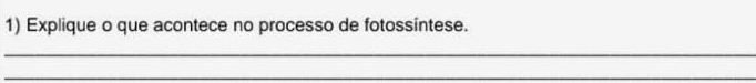 Explique o que acontece no processo de fotossintese. 
_ 
_