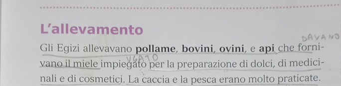 Lallevamento 
Gli Egizi allevavano pollame, bovini, ovini, e api che forni- 
vano il miele impiegato per la preparazione di dolci, di medici- 
nali e di cosmetici. La caccia e la pesca erano molto praticate.