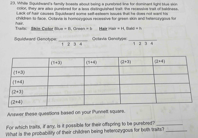 While Squidward's family boasts about being a purebred line for dominant light blue skin
color, they are also purebred for a less distinguished trait: the recessive trait of baldness.
Lack of hair causes Squidward some self-esteem issues that he does not want his
children to face. Octavia is homozygous recessive for green skin and heterozygous for
hair.
Traits: Skin Color Blue =B , Green =b Hair Hair =H . Bald =h
Squidward Genotype: _Octavia Genotype:_
1 2 3 4 1 2 3 4
Answer these questions based on your Punnett square.
For which traits, if any, is it possible for their offspring to be purebred?_
What is the probability of their children being heterozygous for both traits?_