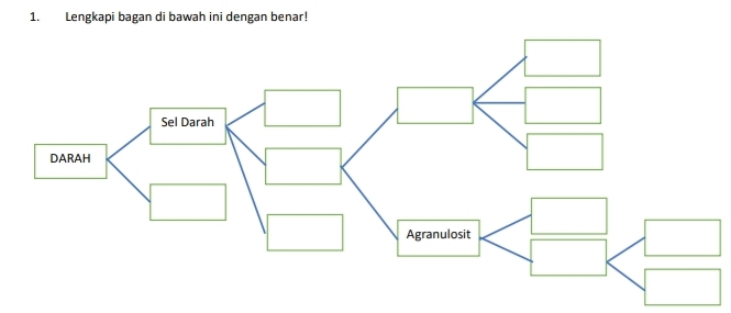 Lengkapi bagan di bawah ini dengan benar!