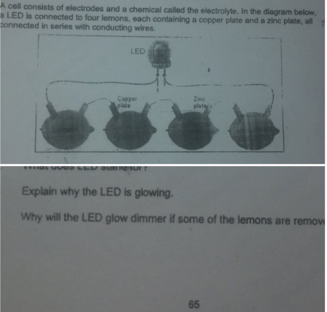 Solved: A cell consists of electrodes and a chemical called the ...