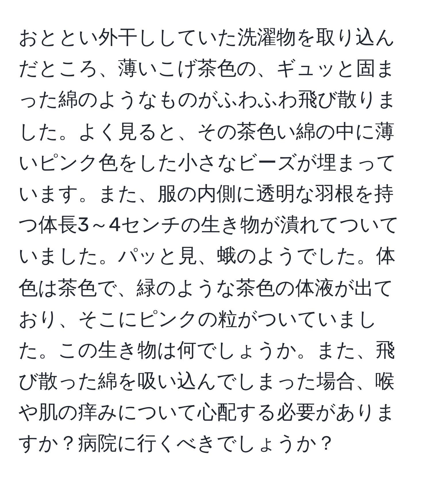 おととい外干ししていた洗濯物を取り込んだところ、薄いこげ茶色の、ギュッと固まった綿のようなものがふわふわ飛び散りました。よく見ると、その茶色い綿の中に薄いピンク色をした小さなビーズが埋まっています。また、服の内側に透明な羽根を持つ体長3～4センチの生き物が潰れてついていました。パッと見、蛾のようでした。体色は茶色で、緑のような茶色の体液が出ており、そこにピンクの粒がついていました。この生き物は何でしょうか。また、飛び散った綿を吸い込んでしまった場合、喉や肌の痒みについて心配する必要がありますか？病院に行くべきでしょうか？