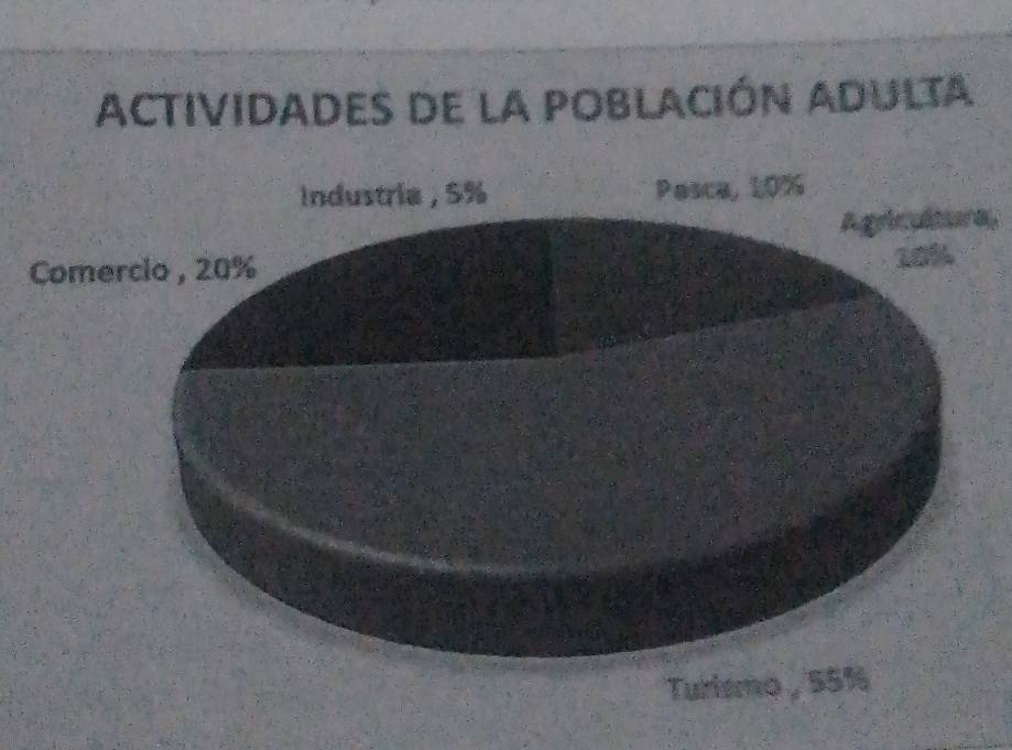 ACTIVIDades de la poBlacIóN ADUlta 
Industria , 5% Pasca, 10%
Agricultura 
Comercio , 20%
10%
Turismo , 55%