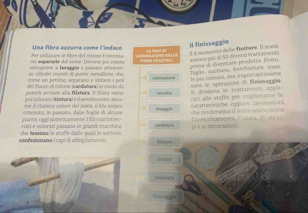 Una fibra azzurra come l'indaco
Il finissaggio
Per utilizzare le fibre del cotone è necessa LE FASI D
È il momento delle finiture. Il jeans
rio separarle dal seme. Devono poi essere LAVORAZIONE DELLE FIBRE VEGETALI subisce più di 50 diversi trattamenti
sottoposte a lavaggio e passare attraver-
prima di diventare prodotto finito.
so cilindri muniti di punte metalliche che,
Taglio, cucitura, borchiatura sono
come un pettine, separano e stirano i peli coltivazione le più comuni, ma importantissime
del fiocco di cotone (cardatura) in modo da
sono le operazioni di finissaggio.
poterli avviare alla filatura. Il filato viene raccolta Si dividono in trattamenti appli=
poi colorato (tintura) e il semilavorato assu- cati alle stoffe per migliorarne le
me il classiço colore del jeans, il blu indaco caratteristiche oppure lavorazioni
ottenuto, in passato, dalle foglie di alcune lavaggio che renderanno il jeans unico, come
piante, oggi sinteticamente. I fili così intrec- l'invecchiamento, l'usura, gli strap-
ciati e colorati passano in grandi macchine cardatura pi e le decorazioni
che tessono le stoffe dalle quali le sartorie
confezionano i capi di abbigliamento. filatura
tintura
tessitura
finissaggio