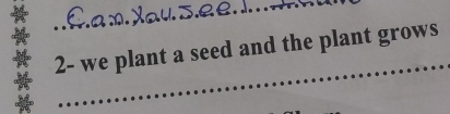 2- we plant a seed and the plant grows