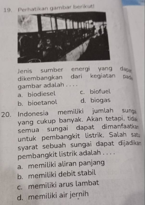 Perhatikan gambar berikut!
Jenis sumber energi yang dap 
dikembangkan dari kegiatan pad 
gambar adalah . . . .
a. biodiesel c. biofuel
b. bioetanol d. biogas
20. Indonesia memiliki jumlah sung
yang cukup banyak. Akan tetapi, tida
semua sungai dapat dimanfaatka
untuk pembangkit listrik. Salah satu
syarat sebuah sungai dapat dijadikan
pembangkit listrik adalah . . . .
a. memiliki aliran panjang
b. memiliki debit stabil
c. memiliki arus lambat
d. memiliki air jernih