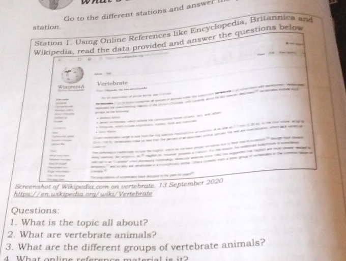 Go to the different stations and answer l 
station. 
Station 1. Using Online References like Encyclopedia, Britannica and 
Wikipedia, read the data provided and answer the questions below 
Wixiper1A Vertebrate 

ed i oeey h of te y a ety a awo sec dcrde " arasutes noudsud 



* — 
e o t a 1 
— b e e e n te w a n s a 
_ 
en o tae pon a canan. fo t e the watae ti 
_ _ lrç vares he gar a t w w s i heu 
ed te aney ten demming agy tee aea noce 140 tho Ngunted out hagten are host coey nated a 
_-_ 
s andh and we reran in a en seme ohe s moe them a sou youp of unabatens o the m 
The snpans of vomeses hawe dcssed to the past to years 
Screenshot of Wikipedia.com on vertebrate. 13 September 2020 
https://en.wikipedia.org/wiki/Vertebrate 
Questions: 
1. What is the topic all about? 
2. What are vertebrate animals? 
3. What are the different groups of vertebrate animals? 
4 What online reference material is it?