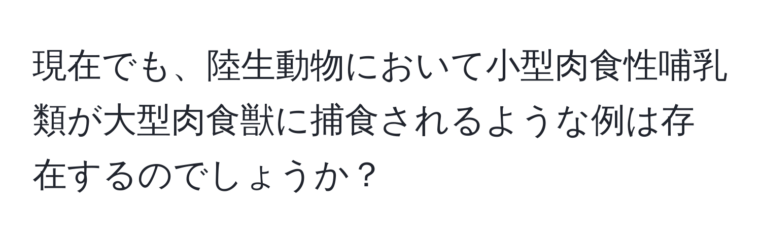 現在でも、陸生動物において小型肉食性哺乳類が大型肉食獣に捕食されるような例は存在するのでしょうか？