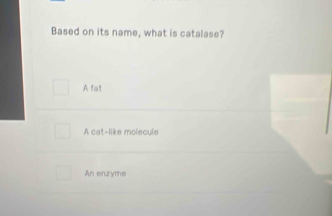 Based on its name, what is catalase?
A fat
A cat-like molecule
An enzyme