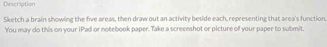 Description 
Sketch a brain showing the five areas, then draw out an activity beside each, representing that area's function. 
You may do this on your iPad or notebook paper. Take a screenshot or picture of your paper to submit.