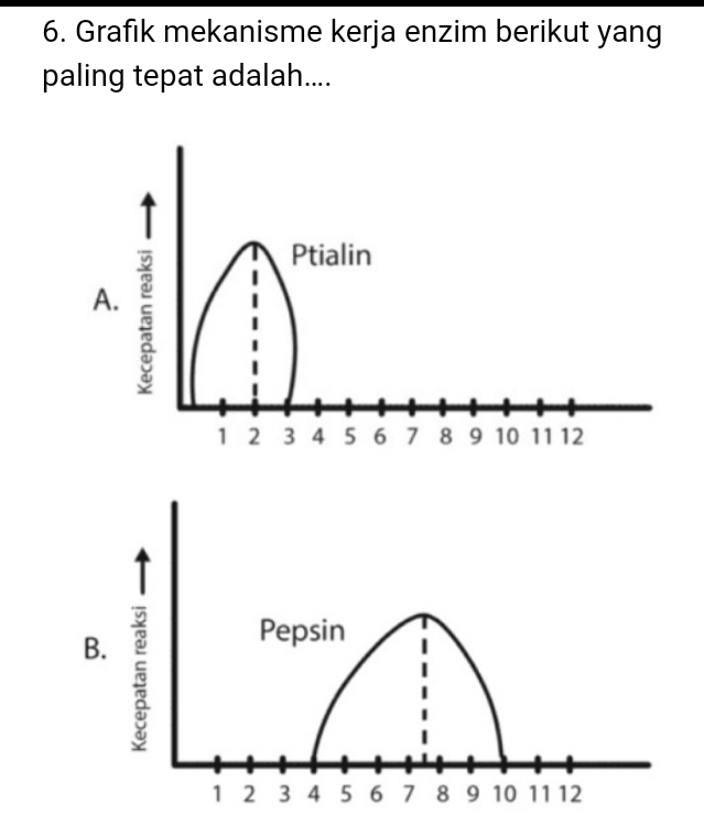 Grafık mekanisme kerja enzim berikut yang 
paling tepat adalah.... 
B.