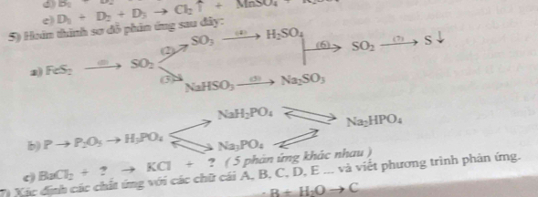 Hoán thình sơ đỗ phản ứng sau đây: D_1+D_2+D_3to Cl_2uparrow +MnSO_4 B_1+B_2
FeS_2to SO_2xrightarrow omega _2SO_3to H_2SO_4to SO_2xrightarrow omega Sdownarrow
NaHSO_3to Na_2SO_3
b) 
c BaCl_2+?to KCl+?(5 ( 5 phản ứng khác nhau ) 
Vị Xác định các chất ứng với các chữ cái A, B, C, D, E... và viết phương trình phản ứng.
· B+H_2Oto C