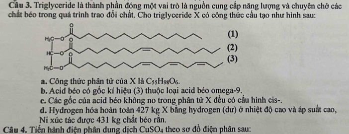 Triglyceride là thành phần đóng một vai trò là nguồn cung cấp năng lượng và chuyên chở các
chất béo trong quá trình trao đổi chất. Cho triglyceride X có công thức cấu tạo như hình sau:
a. Công thức phân tử của X là C_55H_98O_6.
b. Acid béo có gốc kí hiệu (3) thuộc loại acid béo omega-9.
c. Các gốc của acid béo không no trong phân tử X đều có cấu hình cis-.
d. Hydrogen hóa hoàn toàn 427 kg X bằng hydrogen (dư) ở nhiệt độ cao và áp suất cao,
Ni xúc tác được 431 kg chất béo rắn.
Câu 4. Tiến hành điện phân dung dịch CuSO4 theo sơ đồ điện phân sau: