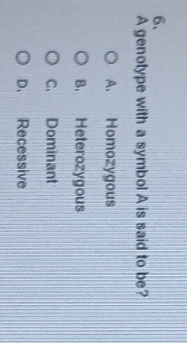 A genotype with a symbol A is said to be?
A. Homozygous
B. Heterozygous
C. Dominant
D. Recessive