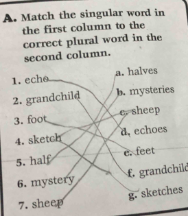 Match the singular word in
the first column to the
correct plural word in the
second column.
1.echo a. halves
2. grandchild b. mysteries
3. foot e. sheep
4. sketch d. echoes
5. half e. feet
6. mystery f. grandchild
g. sketches
7. sheep