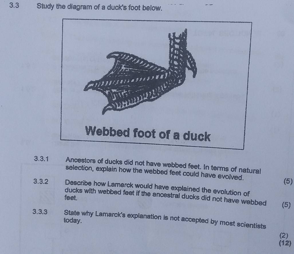 Solved: 3.3 Study the diagram of a duck's foot below. Webbed foot of a ...
