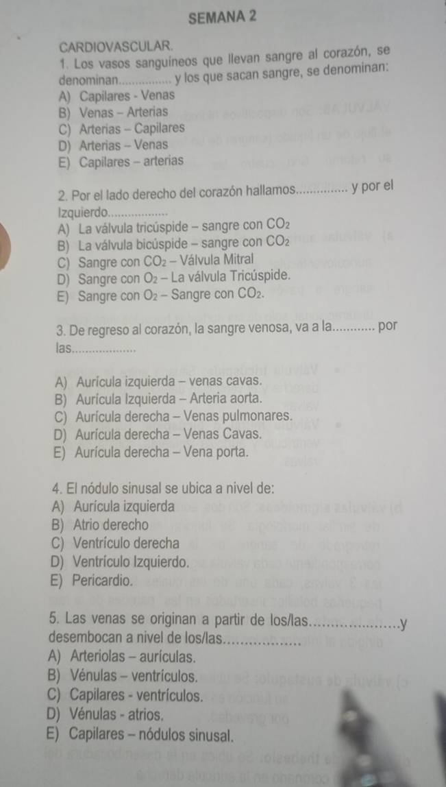 SEMANA 2
CARDIOVASCULAR.
1. Los vasos sanguíneos que llevan sangre al corazón, se
denominan._ y los que sacan sangre, se denominan:
A) Capilares - Venas
B) Venas - Arterias
C) Arterias - Capilares
D) Arterias - Venas
E) Capilares - arterias
2. Por el lado derecho del corazón hallamos _y por el
Izquierdo_
A) La válvula tricúspide - sangre con CO_2
B) La válvula bicúspide - sangre con CO_2
C) Sangre con CO_2 - Válvula Mitral
D) Sangre con O_2-La válvula Tricúspide.
E) Sangre con O_2 - Sangre con CO_2. 
3. De regreso al corazón, la sangre venosa, va a la _por
las_
A) Aurícula izquierda - venas cavas.
B) Aurícula Izquierda - Arteria aorta.
C) Aurícula derecha - Venas pulmonares.
D) Aurícula derecha - Venas Cavas.
E) Aurícula derecha - Vena porta.
4. El nódulo sinusal se ubica a nivel de:
A) Aurícula izquierda
B) Atrio derecho
C) Ventrículo derecha
D) Ventrículo Izquierdo.
E) Pericardio.
5. Las venas se originan a partir de los/las_
.y
desembocan a nivel de los/las_
A) Arteriolas - aurículas.
B) Vénulas - ventrículos.
C) Capilares - ventrículos.
D) Vénulas - atrios.
E) Capilares - nódulos sinusal.