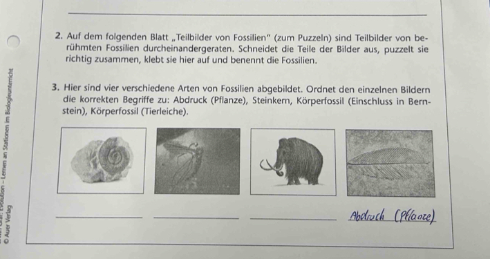 Auf dem folgenden Blatt „Teilbilder von Fossilien” (zum Puzzeln) sind Teilbilder von be- 
rühmten Fossilien durcheinandergeraten. Schneidet die Teile der Bilder aus, puzzelt sie 
richtig zusammen, klebt sie hier auf und benennt die Fossilien. 
3. Hier sind vier verschiedene Arten von Fossilien abgebildet. Ordnet den einzelnen Bildern 
die korrekten Begriffe zu: Abdruck (Pflanze), Steinkern, Körperfossil (Einschluss in Bern- 
stein), Körperfossil (Tierleiche). 
__ 
_