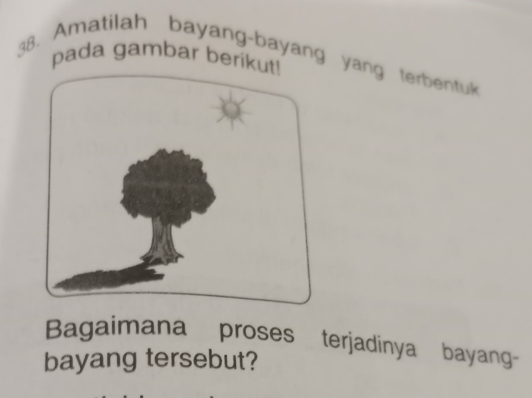 pada gambar berikut 
38. Amatilah bayang-bayang yang terbentuk 
Bagaimana proses terjadinya bayang- 
bayang tersebut?