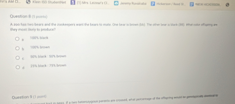 hn's AM CI Klein ISD StudentNet (1) Mrs. Leizear's Ci... Jeremy Ruvalcaba Hickerson / Reed lit. *NEW HICKERSON
Question 8 (5 points)
A zoo has two bears and the zookeepers want the bears to mate. One bear is brown (bb). The other bear is black (BB). What color offspeng ar
they most likely to produce?
a 100% black
b 100% brown
C 50% black: 50% brown
d 25% black : 75% brown
Question 9 (1 point)
raif in peas. If a two heterozygous parents are crossed, what percentage of the offspring would be genotypically demtical t