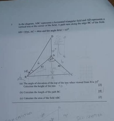 Solved: In the diagram, ABC represents a horizental triangular field ...