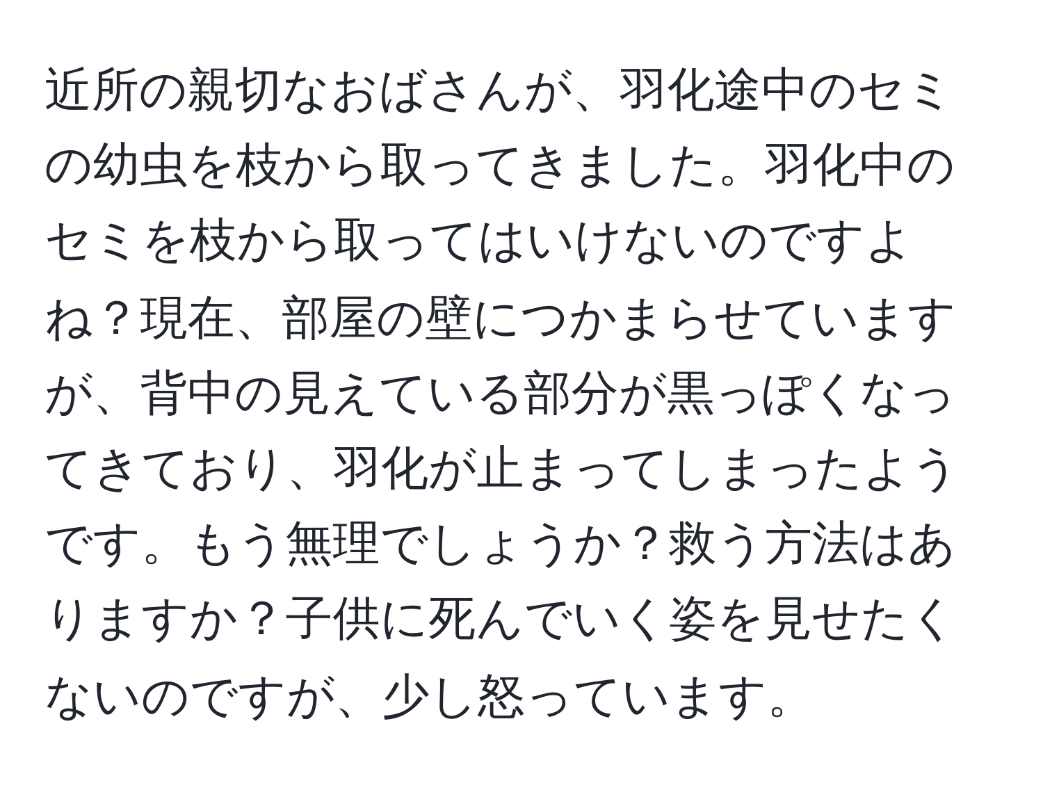 近所の親切なおばさんが、羽化途中のセミの幼虫を枝から取ってきました。羽化中のセミを枝から取ってはいけないのですよね？現在、部屋の壁につかまらせていますが、背中の見えている部分が黒っぽくなってきており、羽化が止まってしまったようです。もう無理でしょうか？救う方法はありますか？子供に死んでいく姿を見せたくないのですが、少し怒っています。