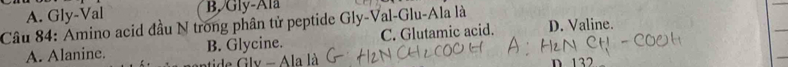 A. Gly-Val B. Gly-Ala
Câu 84: Amino acid đầu N trong phân tử peptide Gly-Val-Glu-Ala là
A. Alanine. B. Glycine. C. Glutamic acid. D. Valine.
atide Gly - Ala là