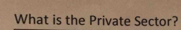 What is the Private Sector?