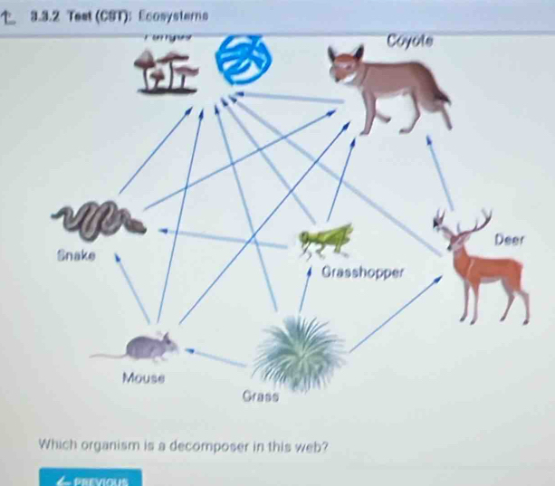 Test (CST):Ecosysterns 
Which organism is a decomposer in this web? 
PREVIOUS