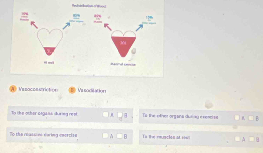 A Vasoconstriction B Vasodilation
To the other organs during rest □ A □ B To the other organs during exercise □ A□ B
To the muscles during exercise □ A□ B To the muscles at rest □ A□ B